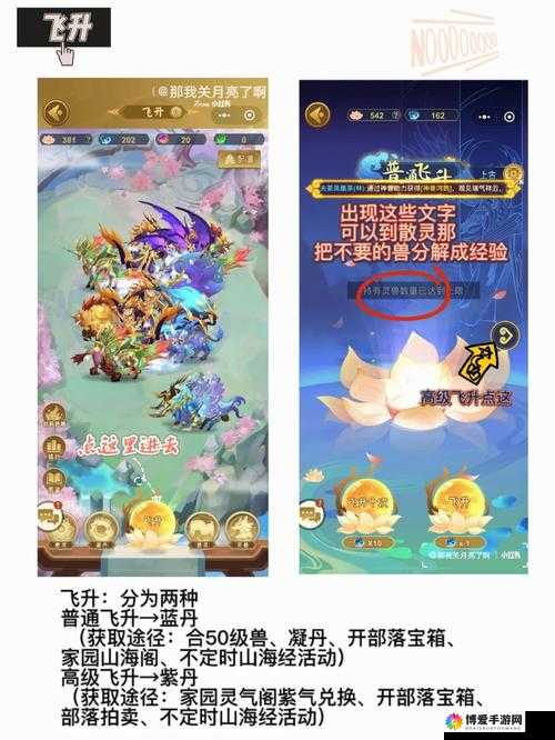 传世飞升，解锁天界之旅的全面攻略