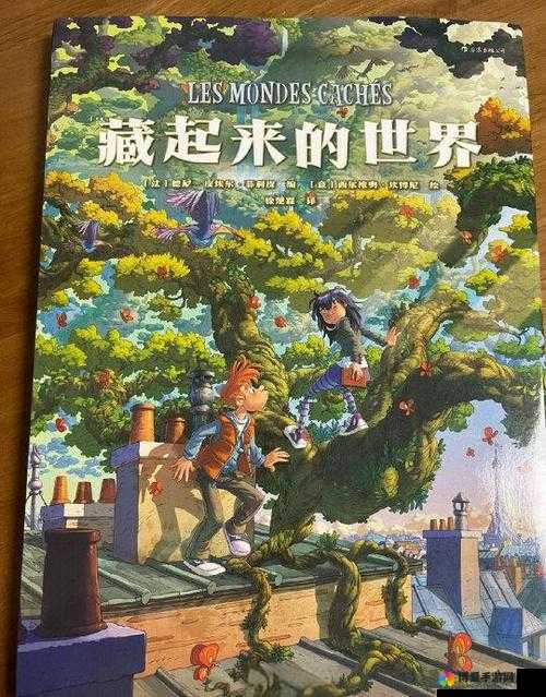 探索 www.31998.ooo 背后的神秘世界