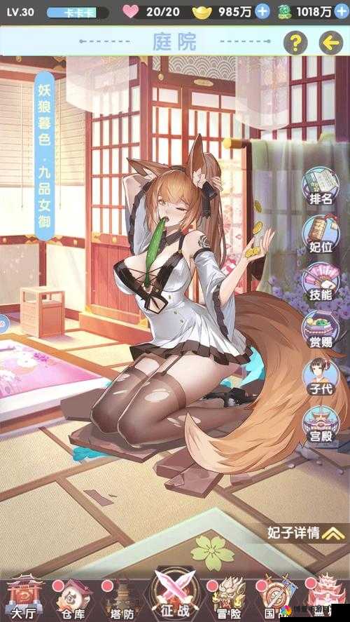 能随便看内部位的三国游戏：征战天下，一探美人闺阁