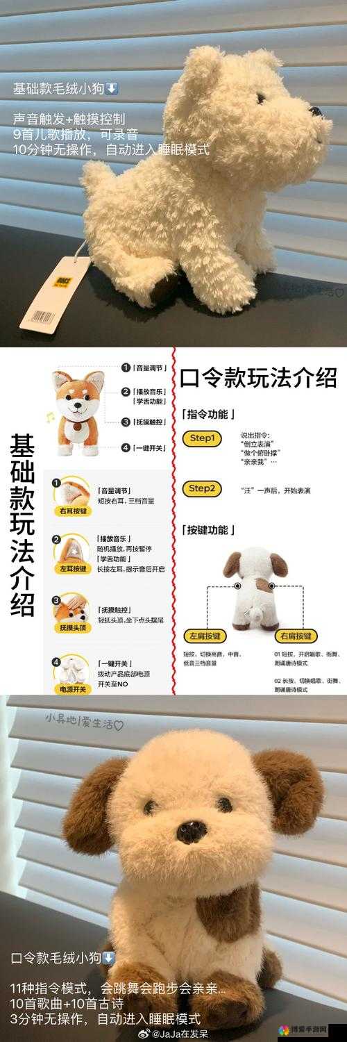 独行道主线玩法介绍及女性玩家喜爱的宠物