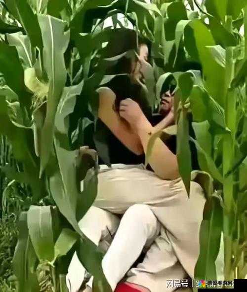 哇哦野外那激情用力与麻麻的奇妙碰撞