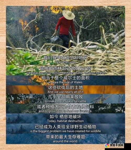 在生机盎然的自然中,追寻生命的真谛:电影绿意盎然的诗意之旅