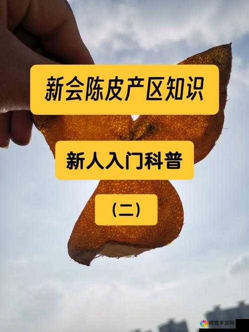 久一线产区二线产区三线产区不会卡：为何如此独特且令人安心
