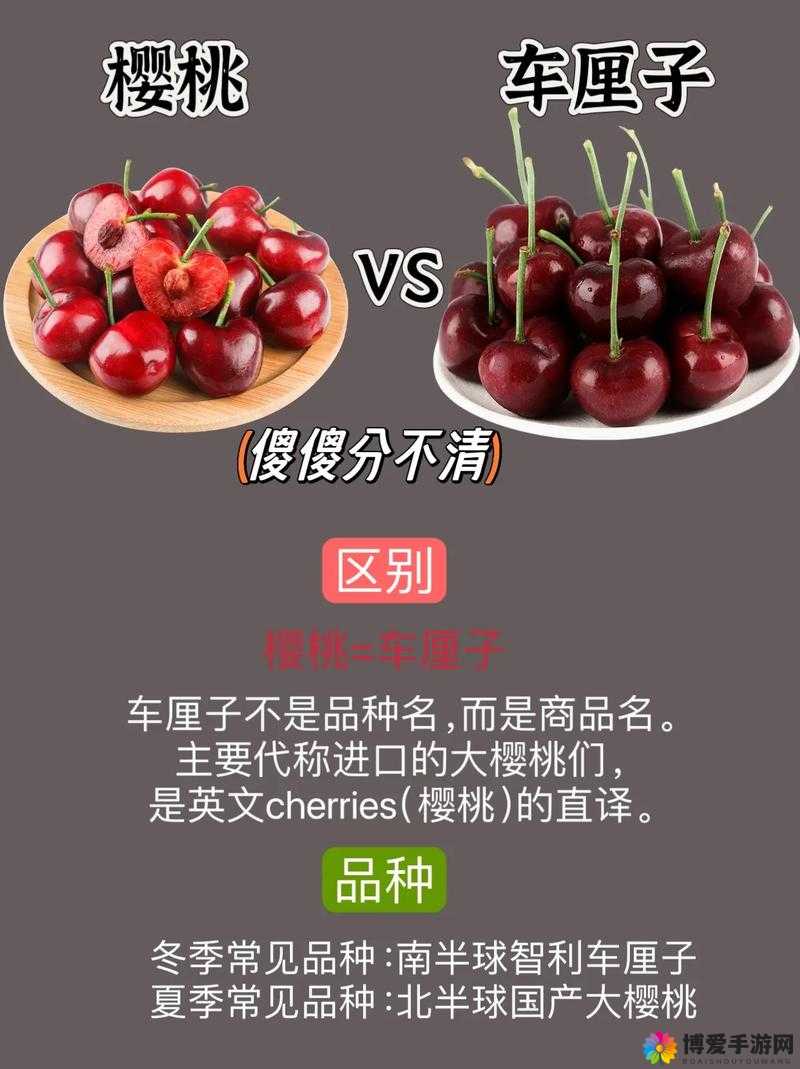 红颜樱桃和黄蜜樱桃的区别：从外观到口感全面解析