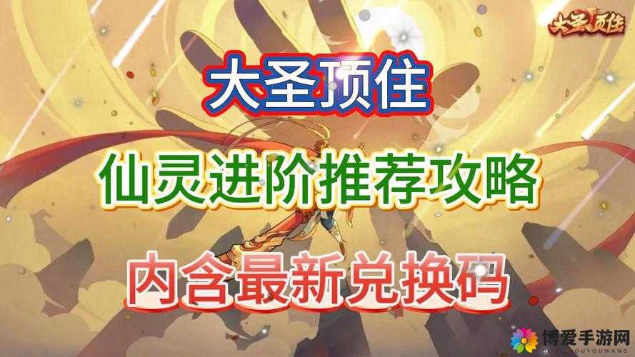 大圣顶住，从新手到高手的全面进阶指南