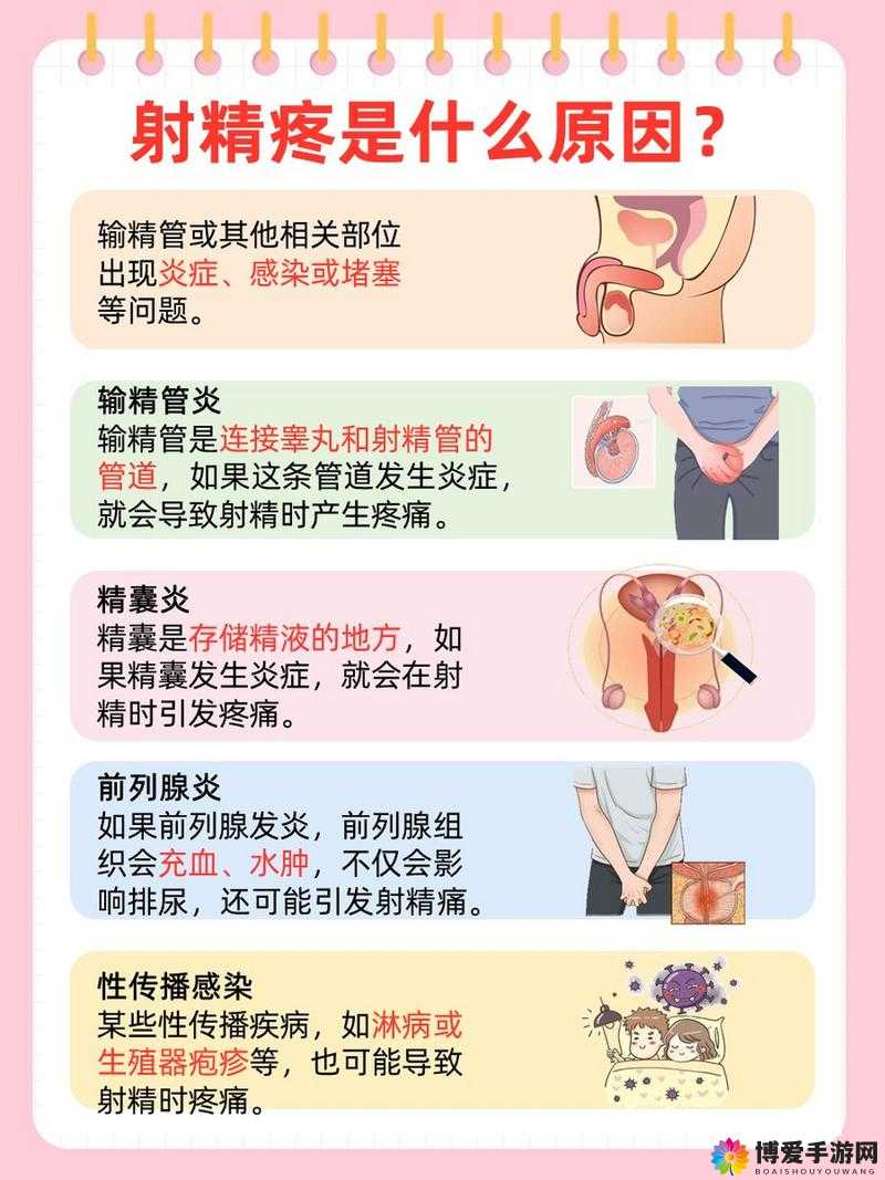 精液一二三：科学解读生殖奥秘
