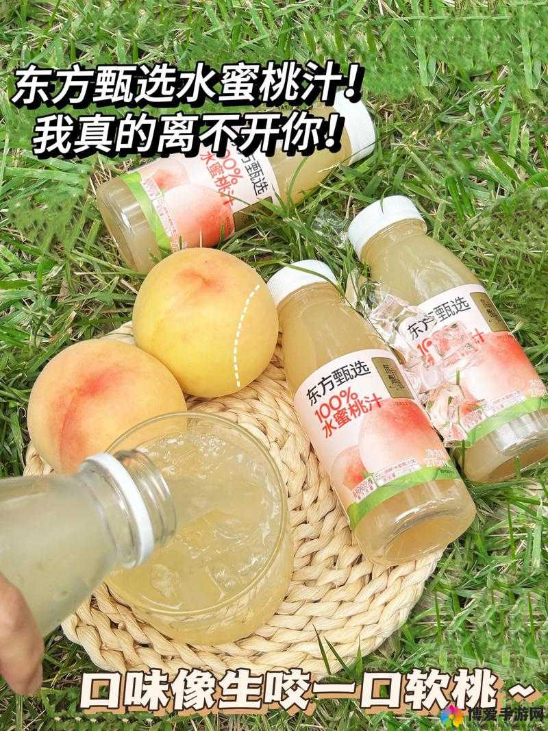 水蜜桃汁 2：浓郁果香带来的甜蜜诱惑之旅