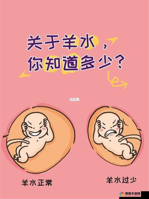 羊水门图片：关于羊水门事件的深入探讨与分析