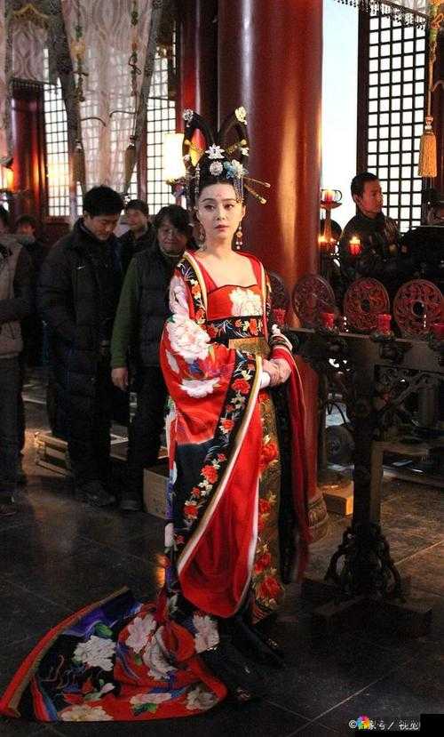美人行天下皇帝崛起，后宫混战，权谋与情感的交织史诗
