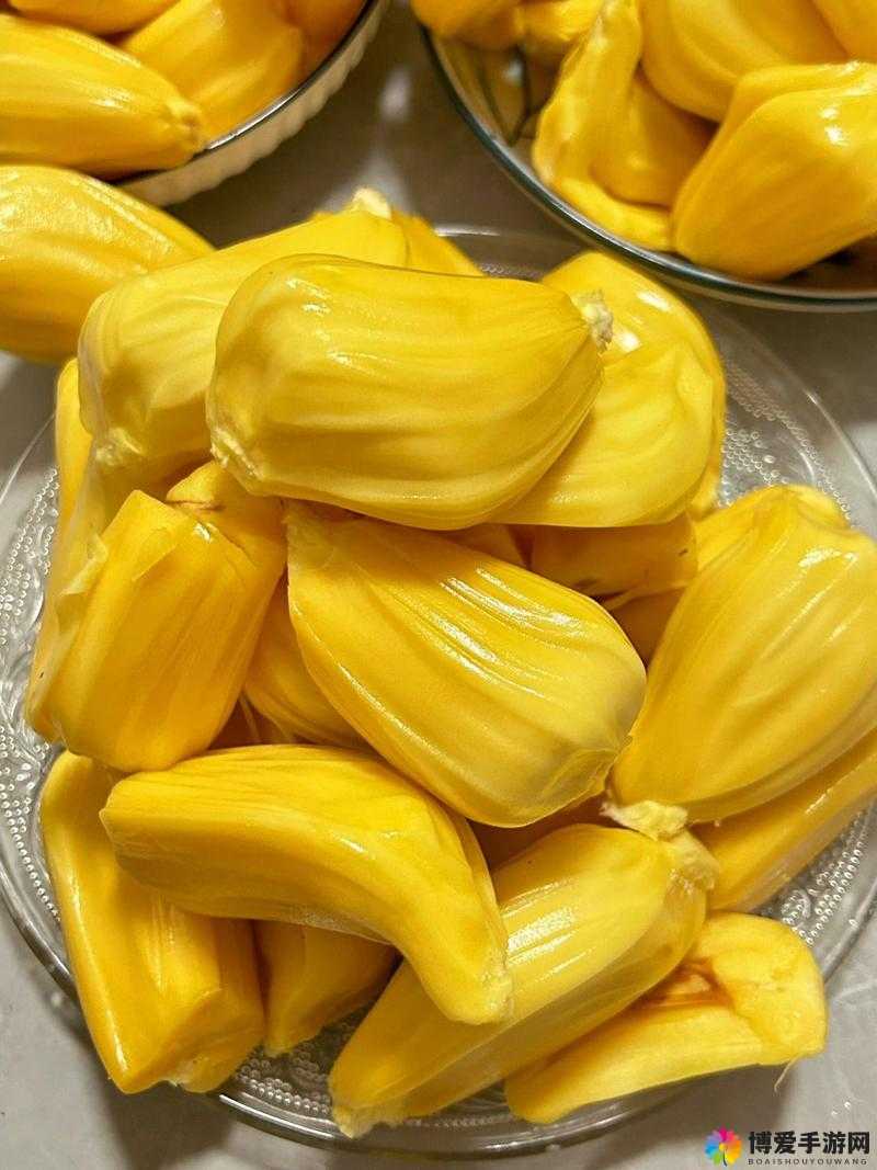 菠萝菠萝蜜高清观看视频：带你领略精彩视觉盛宴