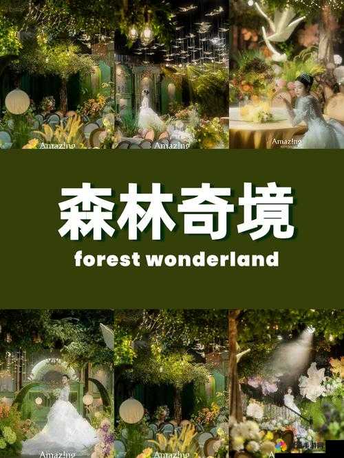 仙踪林入口欢迎您免费入口:探索奇幻世界的起点