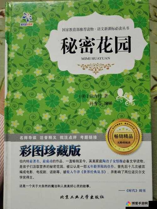 大手往哪秘密花园探去寓意何在：深度解读背后的含义与启示