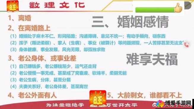 大 BBBBBB 老人的爱情与财运：一段非凡经历的深度解析