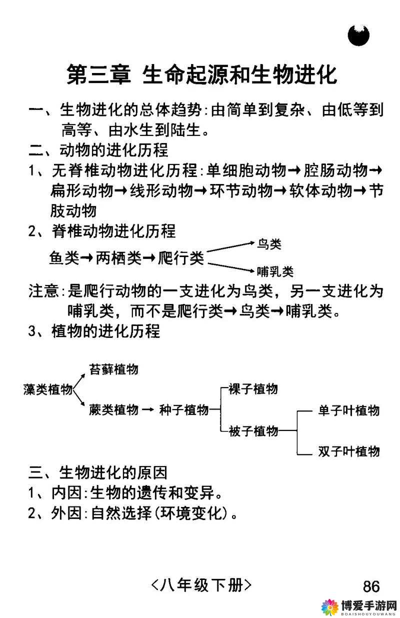 人马畜禽共性关系简单概括:探索生命特征与相互影响