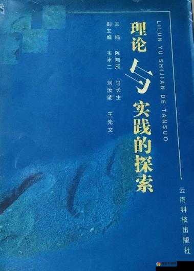 新手自 W 到高 C 的探索与实践方法及相关照片
