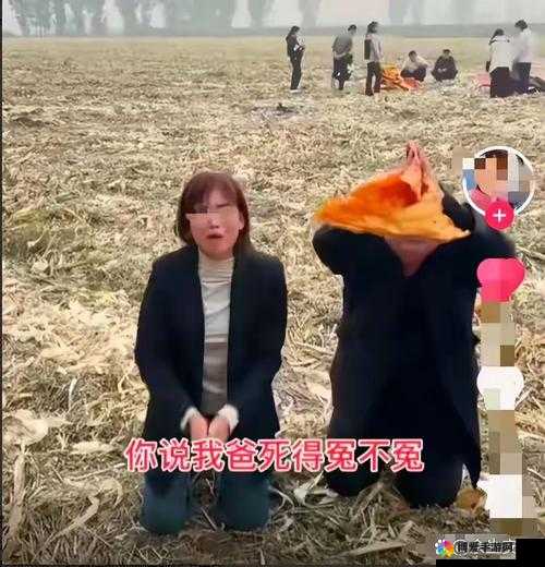 一对老年夫妇的私密视频意外流出：震惊全网的背后真相