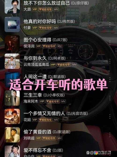 一抽出BGM毛：带你领略独特的音乐魅力之旅