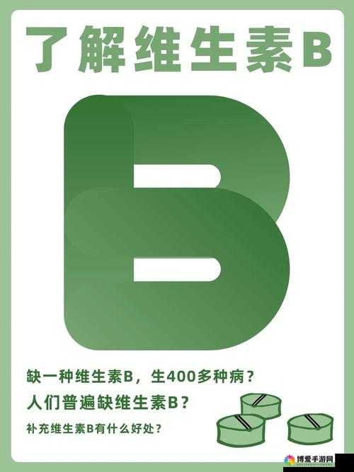 B 和 B 为什么不一样：探寻其背后隐藏的深层原因