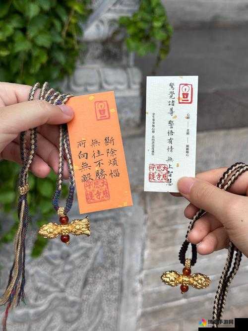 108 金刚杵入莲花还能活吗不再收费:深度探究其奥秘与影响