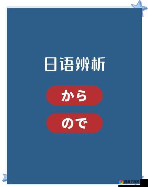 一码二码三码区别日本：深度解析其内在差异及影响因素