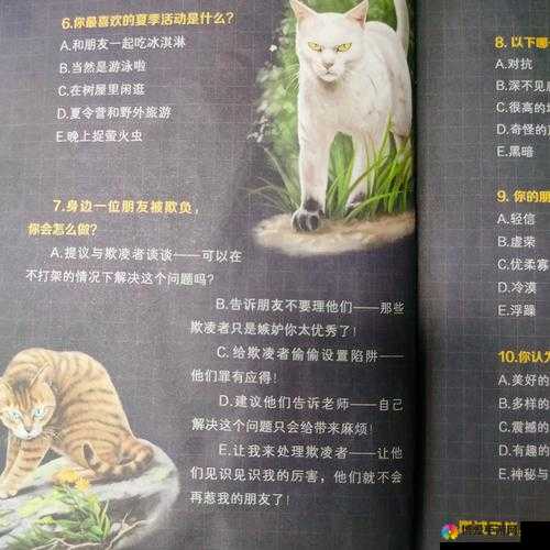 喵将传新手入门指南合集放送，资源管理的艺术