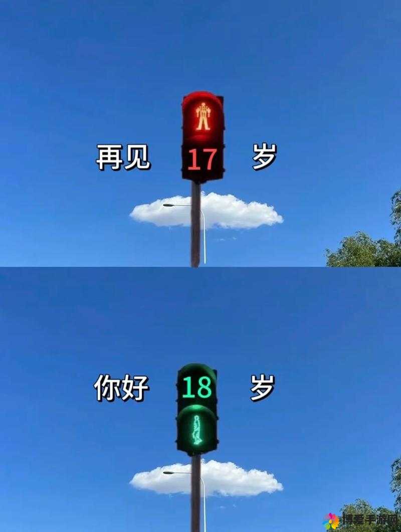 已满十八岁,从此转入全新人生