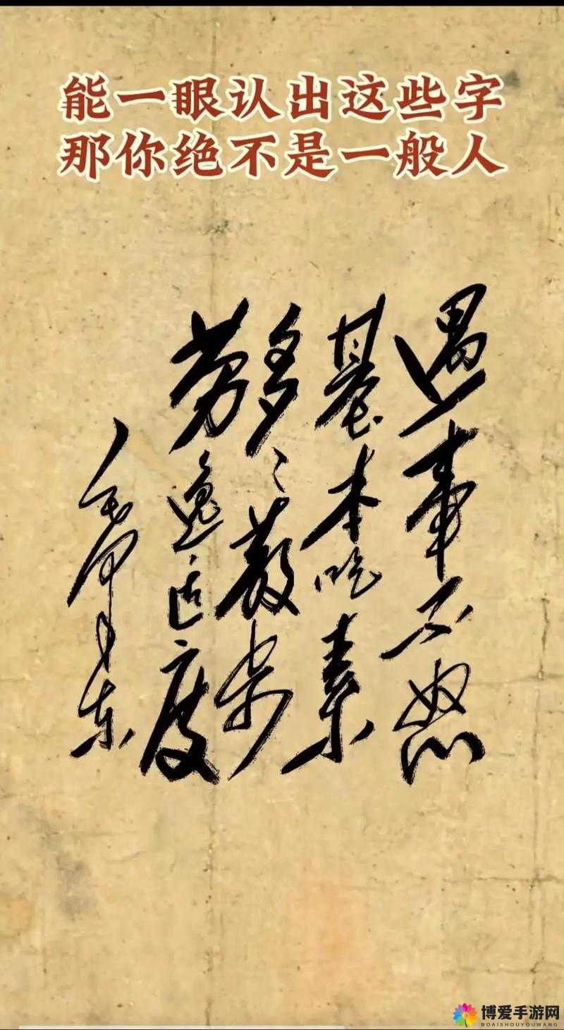 696969 大但人-正道勇往直前追求真理不懈奋斗