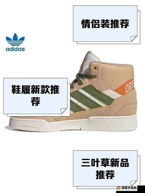 三叶草 GW6797 独特魅力新探索：从经典到创新的跨越