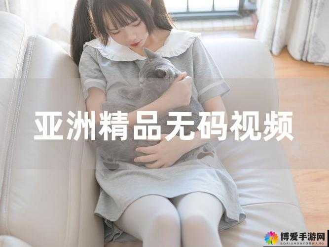 日韩精品一区二区三区视频播放：探索亚洲文化的窗口