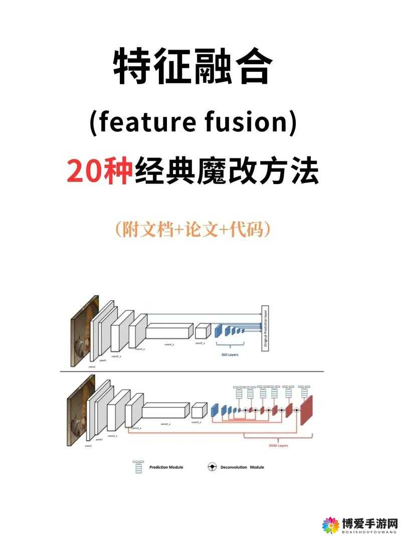 关于 6-12VideOSSeXcm 的独特探索与呈现