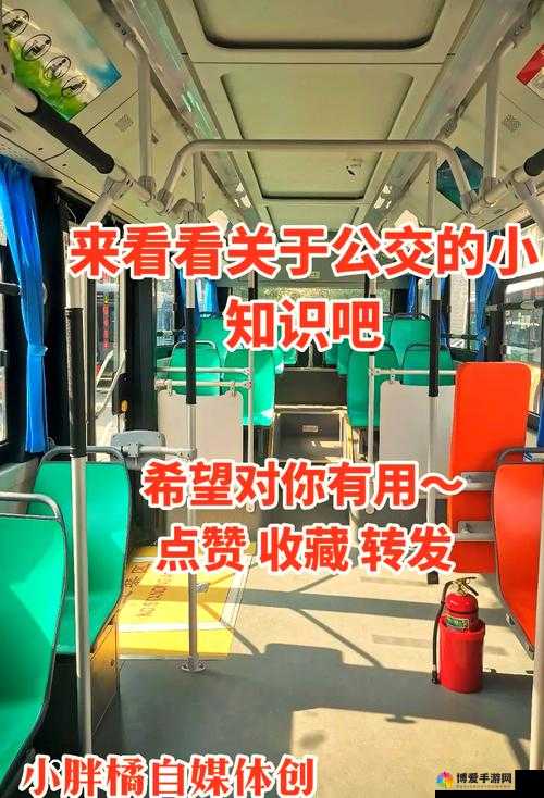 小扫货能么多叫出来公交车:探究其背后的奇特现象与原因