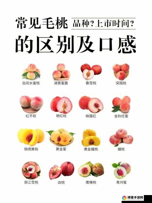 日产 NV 二线三线水蜜桃：关于其特点与市场前景的分析