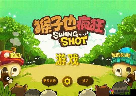猴子也疯狂，一场智慧与勇气的丛林冒险