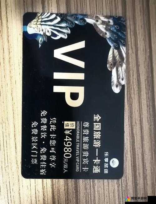 欧美一卡二卡精彩内容大揭秘:畅享独特魅力之旅