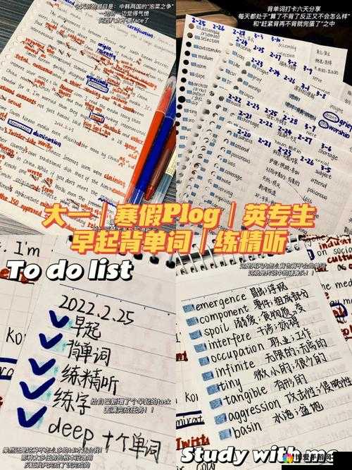 在教授的棒棒上背单词双楠：知识与愉悦的奇妙结合