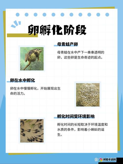 9 色蝌蚪：神奇生物背后的未知奥秘与奇幻世界