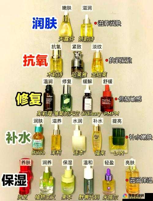 为什么大家都在谈论特殊的精华油 4:揭秘其独特魅力