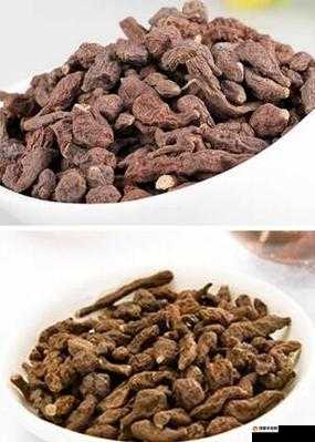 妖怪哪里跑之人生果的吃法
