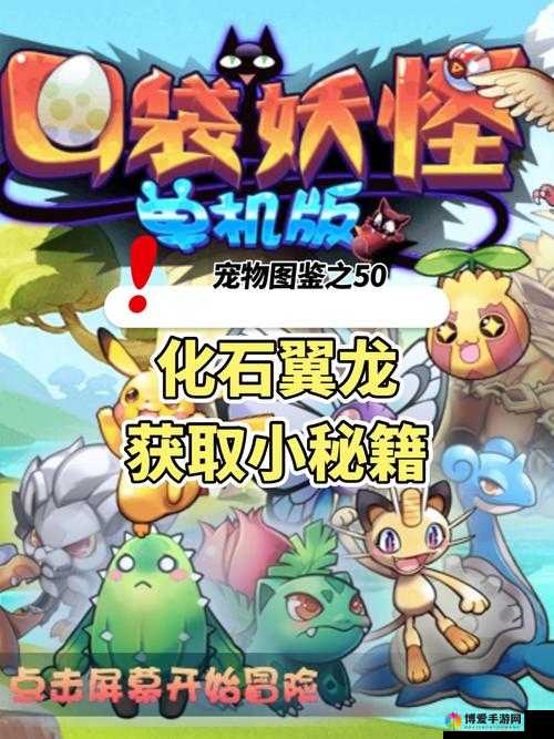 新口袋妖怪冒险玩法