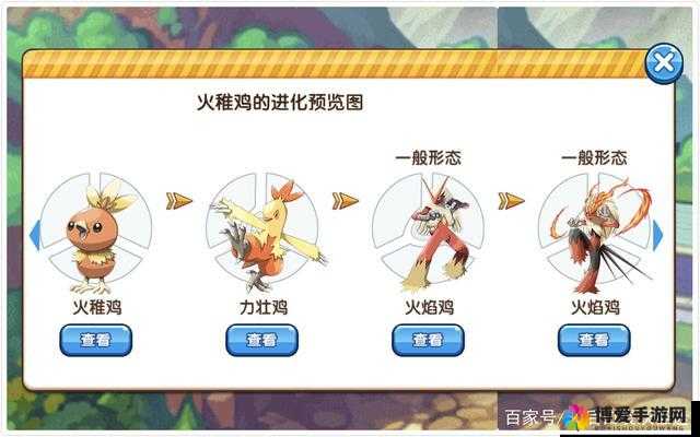 新口袋妖怪装备介绍,打造你的战斗利器