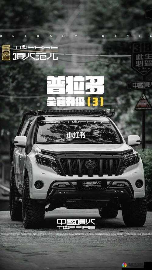 新手小白看过来！霸道天下快速升级不是梦