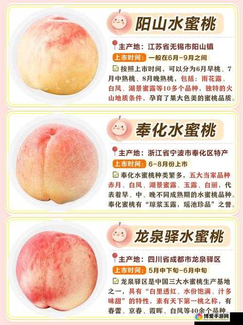 6708 杏色水蜜桃:独特魅力的甜蜜之选
