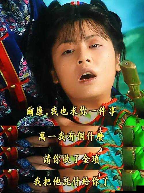 尔康吃金锁肉厨房：一场令人捧腹大笑的闹剧
