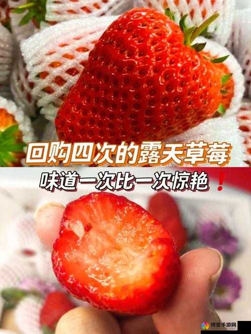 如何正确地进行迈开腿吃草莓方法：实用技巧与注意事项