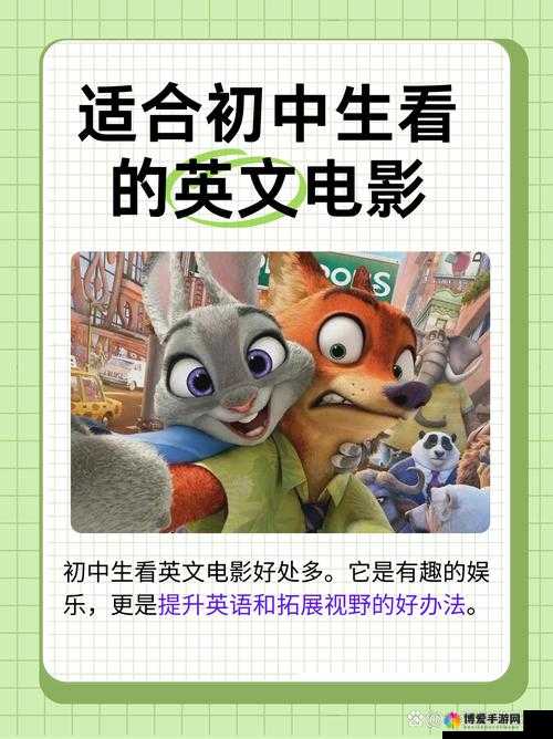 合法观看影视作品的正确途径与方式探讨