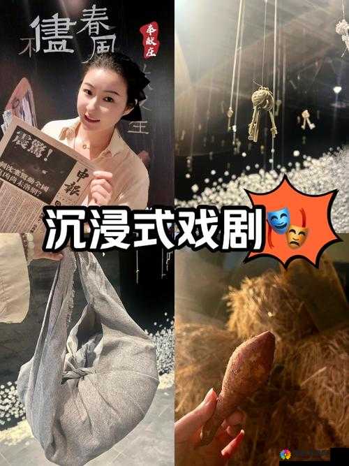 GOGOGO 中国剧情介绍与评价大牛：深度剖析精彩剧情
