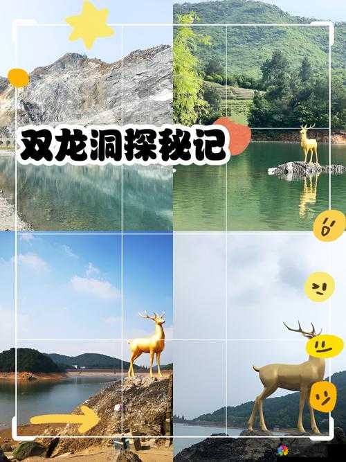 双龙入户的体验如何-探究其带来的感受与影响