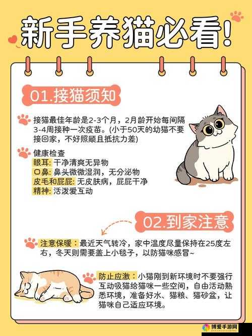 三萌争霸新手须知