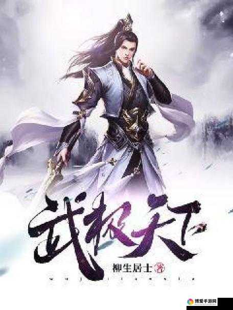 武极天下中的武意探索