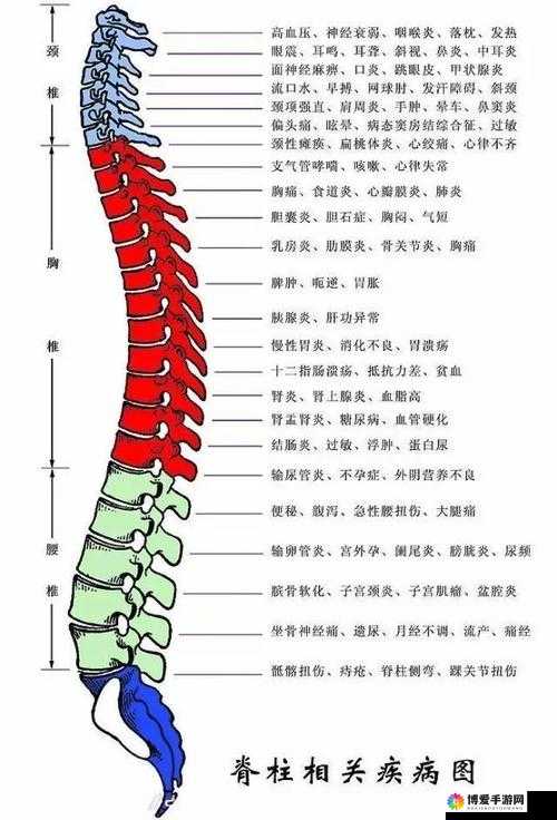颈腰挺过那层薄膜好疼痛缓解方法：科学缓解颈腰疼痛有妙招